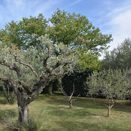 Aux Reves Des Mees Villa Les Mées Eksteriør billede