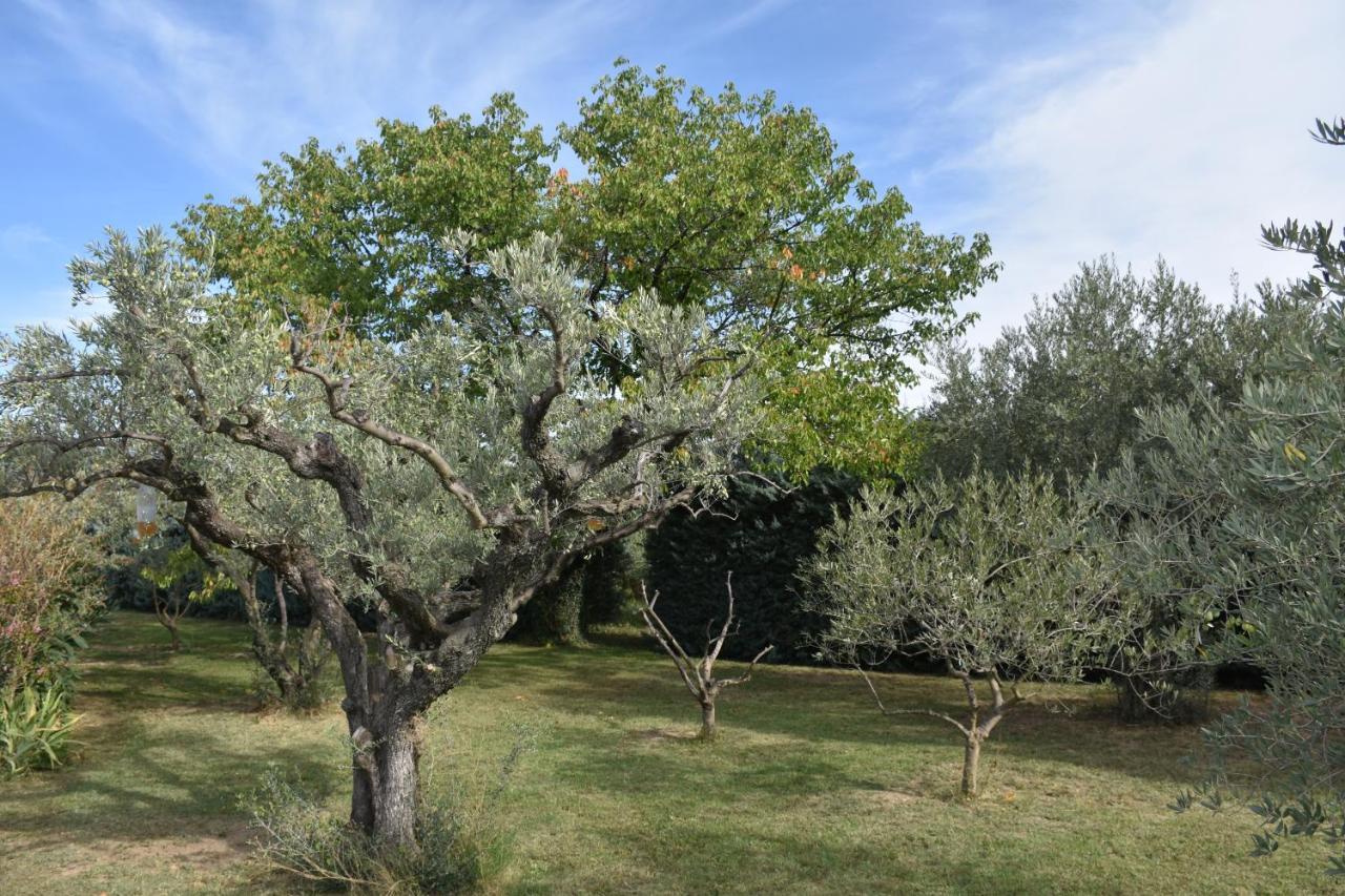 Aux Reves Des Mees Villa Les Mées Eksteriør billede